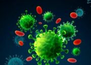 Update Cov-19, Positif 5.060 Total 1.786.187 Wafat 172 Total 49.627