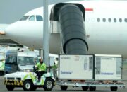 Tambahan 8 Juta Dosis Bahan Baku Sinovac Tiba di Soetta