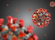 Update Cov-19, Positif 8.161 Total 1.927.708 Wafat 164 Total 53.280