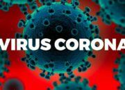 Update Cov-19, Positif 12.990 Total 1.963.266. Wafat 290 Total 54.043