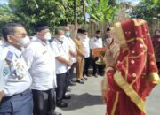 Keren! Sapi Diasuransikan Gurun Panjang Utara