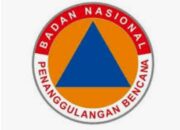 Cegah Karhutla, BPBD Diminta Lakukan 8 Langkah Berikut