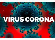 Sumbar Cov-19, Positif Harian 752 Total Jumlah Kasus 65.703