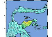 Gempa M6,5 Tojo Una Una Warga Ngungsi ke Tempat Tinggi