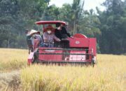 Tinjau Pertanian Tanah Datar, Audy Sayangkan Air Irigasi Tak Merata