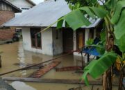 Banjir Terjang Beberapa Wilayah Aceh Besar dan Aceh Jaya