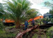 3 Orang Perambah Lahan di Giam Siak Kecil Riau Ditahan