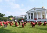 Presiden Beri Bonus pada Atlet Paralimpiade Tokyo 2020