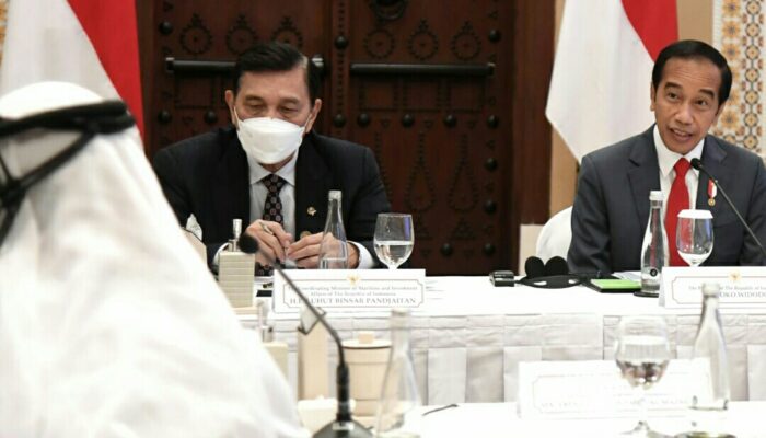 Ini Tiga Sektor Prioritas Kerja Sama Indonesia -PEA