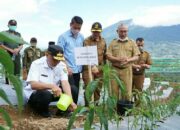 Mahyeldi Canangkan Nagari Taxus di Gunung Singgalang