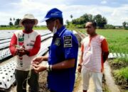 Pokir HM Nurnas Bantu Satu Mesin Penyabit Padi pada Keltan