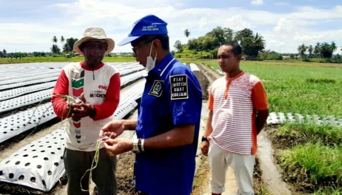 Pokir HM Nurnas Bantu Satu Mesin Penyabit Padi pada Keltan