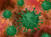 Ini 4 Poin Edaran Gubernur Sumbar Antisipasi Omicron