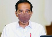 Pemerintah Evaluasi Izin Usaha Tambang, Kehutanan, dan HGU Perkebunan