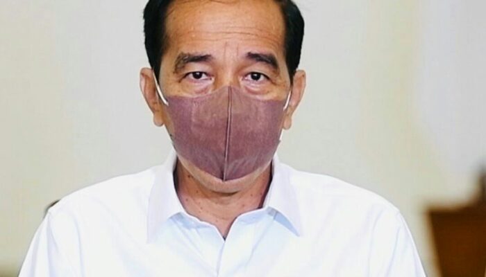 Pemerintah Evaluasi Izin Usaha Tambang, Kehutanan, dan HGU Perkebunan