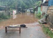 Tujuh Meninggal, Bencana Hidrometeorologi Basah di Kota Jayapura
