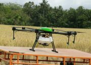 Poktan Pessel Gunakan Drone Sprayer Tebarkan Pupuk Cair