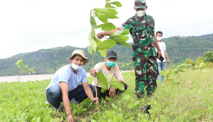 Dukung Pembangunan, Jamkrindo Hijaukan Kawasan Pantai