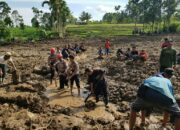 Petugas Gabungan Berjibaku Cari Korban Longsor Pasaman