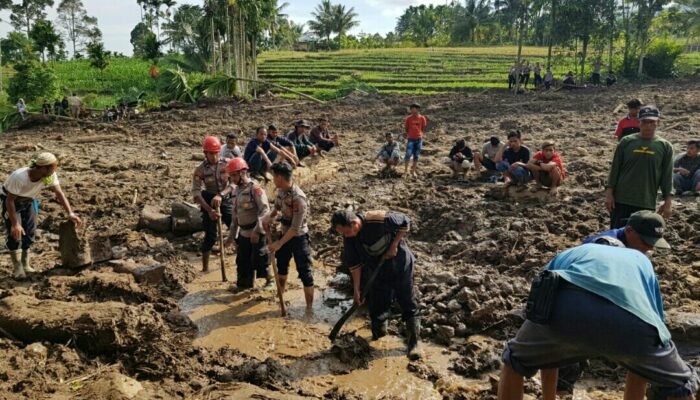 Petugas Gabungan Berjibaku Cari Korban Longsor Pasaman