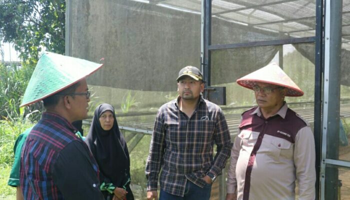 Pemprov Sumbar Dorong Poktan Bangun Sistem Terpadu