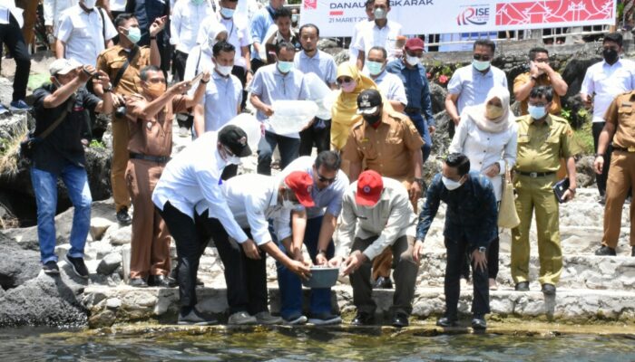 Gubernur Lepas 4 Ribu Ikan Bilih Hasil Pembenihan PT. SP