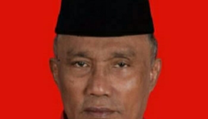 Politisi PDIP Minta PUPR dan Kemenhub Jamin Pemudik Lancar