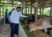 Leonardy Kunjungi BUMDES Naras Hilir Dengarkan Curhat Kades