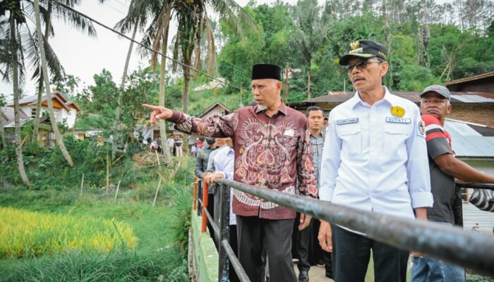 Petani Sumbar Keluhkan Pupuk Subsidi, Ini Jalan Keluar Gubernur