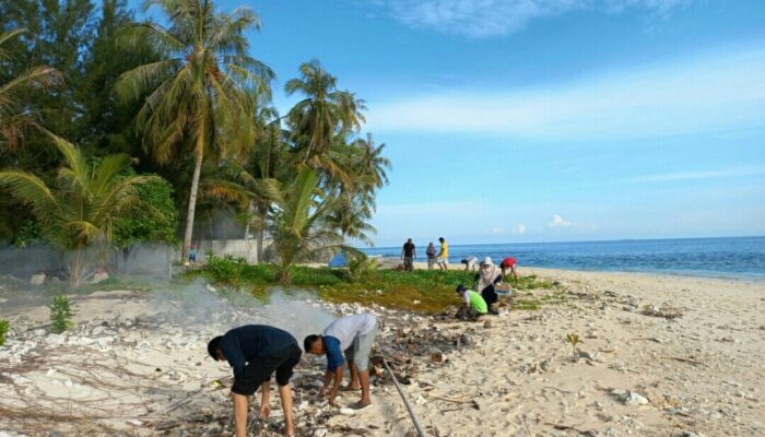 Peringati Hari Penyu Sedunia, Wagub Sumbar Lepas 230 Tukik dan Bersih Pantai