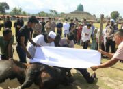Polda Sumbar bagikan daging Kurban ke Kaum Duafa dan Korban Gempa