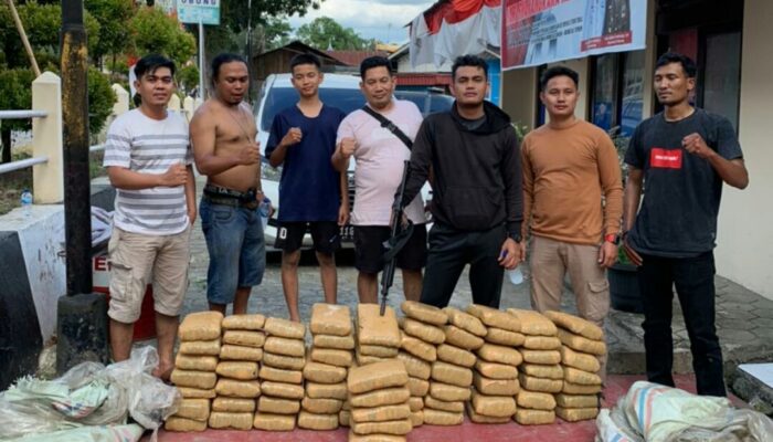 Puluhan Kilogram Ganja Berhasil Diamankan Polres Solok