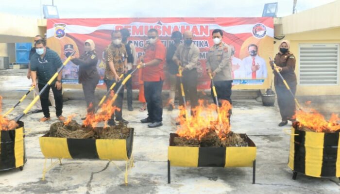 Polda Sumbar Bakar Barang Bukti Ganja Kering