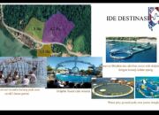 Kawasan Mandeh Direncanakan Konservasi Lumba Lumba