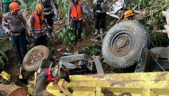 Anjing Pelacak Temukan Titik Korban Tertimbun Gempa Cianjur