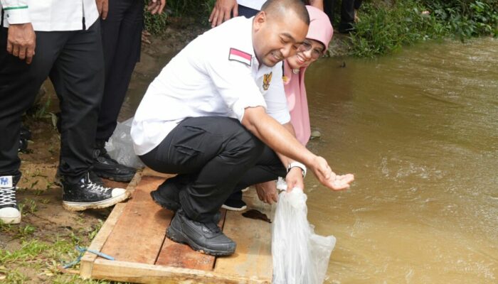 Genjot Ekonomi, Wagub Lepas 15 Ribu Bibit Ikan di Nagari Sikabau