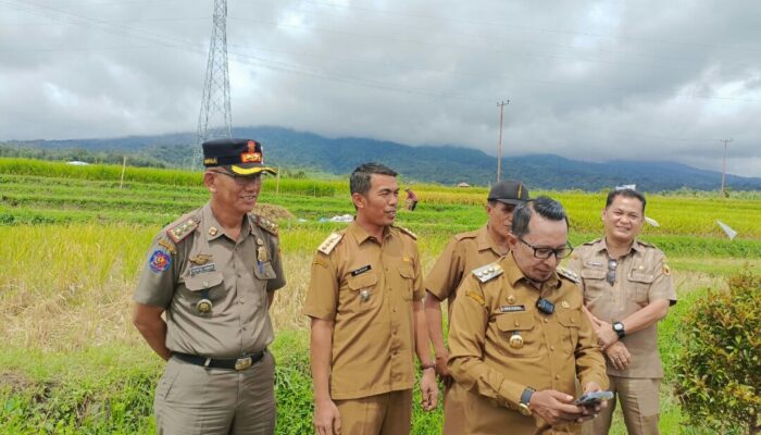 Erupsi Marapi, Bupati Eka Monitoring ke Lereng Gunung