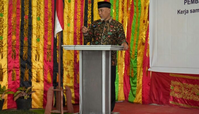 800 H Lahan Persawahan di Nagari Sarukam Tak Berair