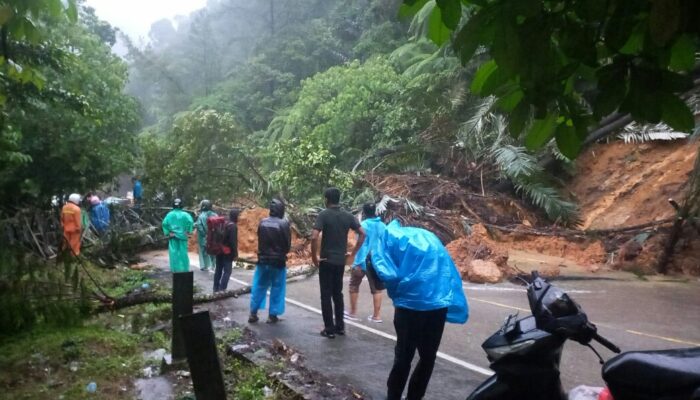 Hujan Seharian, Akibatkan Jalur Padang – Solok Longsor