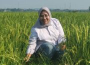 Digitalisasi Meningkatkan Produktivitas dan Taraf Hidup Petani