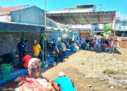 12 Sapi Kurban di Masjid Ar- Raudhah Lapai beri Makna Warga Sekitar