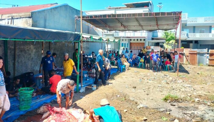12 Sapi Kurban di Masjid Ar- Raudhah Lapai beri Makna Warga Sekitar