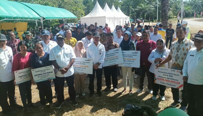 Memenuhi Kebutuhan Jagung di Indonesia Timur pemerintah Terakan Smart Darming & Agritech