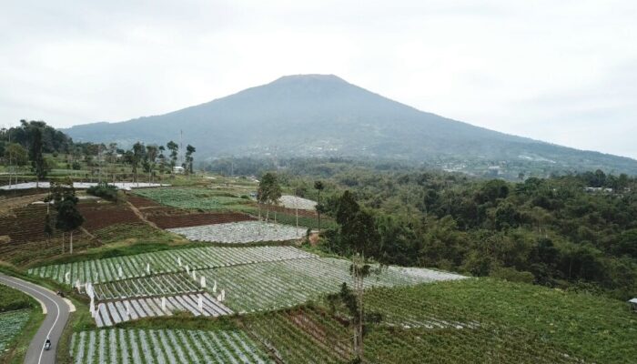 PKM UNP Angkat Potensi Wisata Sawah 9 Koto Laweh