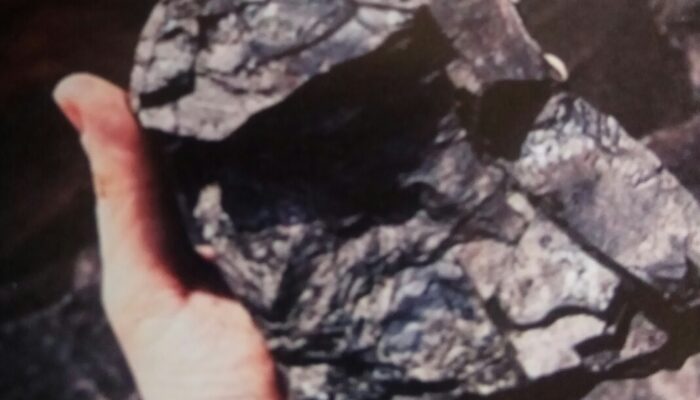 Bangkitkan Nilai Universal di Warisan Tambang Batu Bara Ombilin