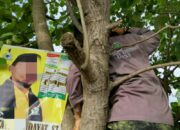 Aliansi Masyarakat Selamatkan Pohon dari Paku Poster Caleg