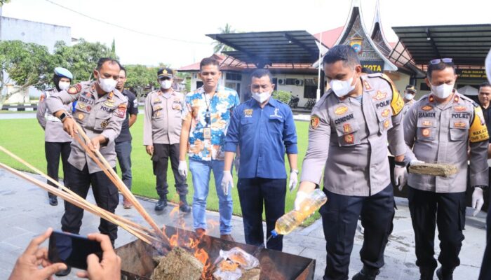 Polres 50 Kota Musnahkan Barang Bukti Ganja 10 Kilo