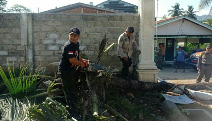 Pohon Kelapa Tumbang Hancurkan Gerbang Perumahan