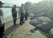 Mayat Bayi Perempuan Ditemukan Busuk di Pantai Ulak Karang