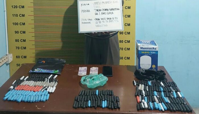 Pengedar dan Puluhan Paket Ganja di Tangkap Polres Pasaman